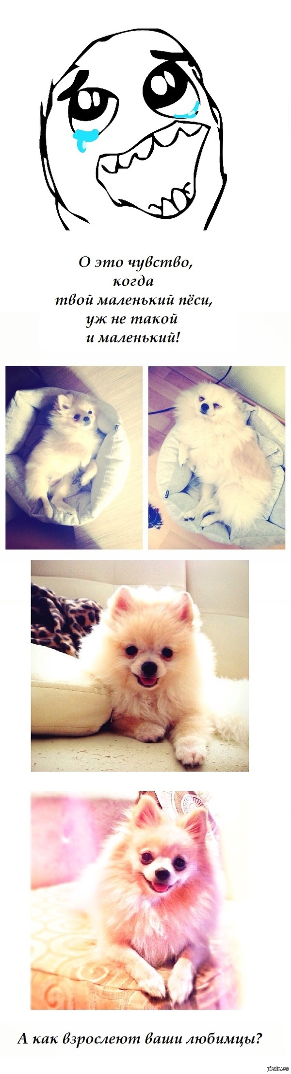 ����� ������ ����