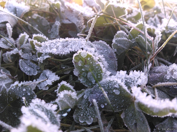 ������ ���������...