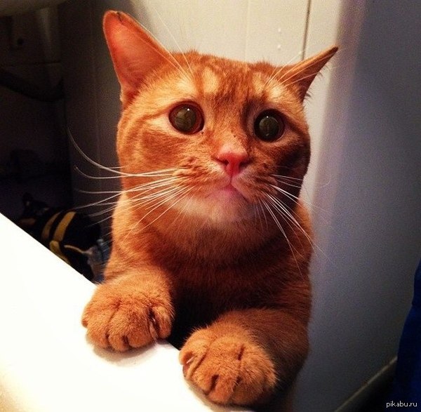 Доброго дня всем. Хотел бы попросить посоветовать годные фильмы для просмотра с девушкой, заранее спасибо. С уважением, benderzadunaev.