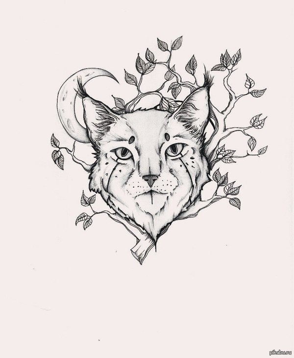 ������ ���� ������ ���� �� �����.