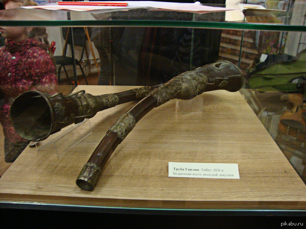 Труба из бедренной кости молодой девушки.