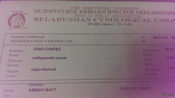 ЛуиЗ Суарес