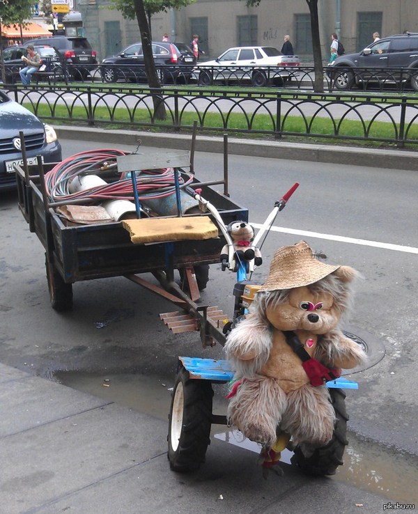 �����-������������� ���, ������������ ������.