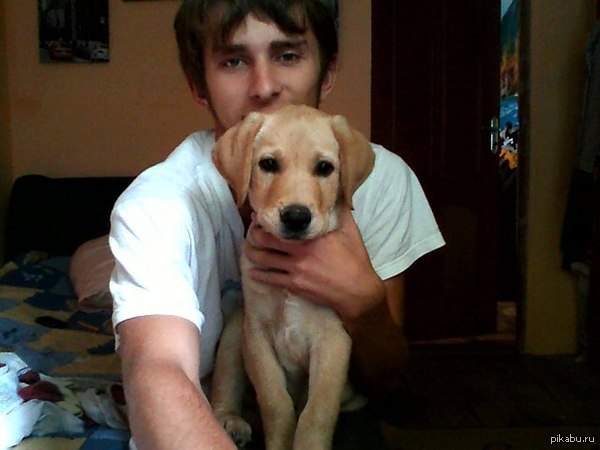 Утренний привет от Бруно !