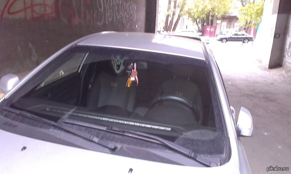 ������, ��� �� �����