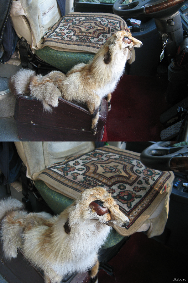 ���������� ������