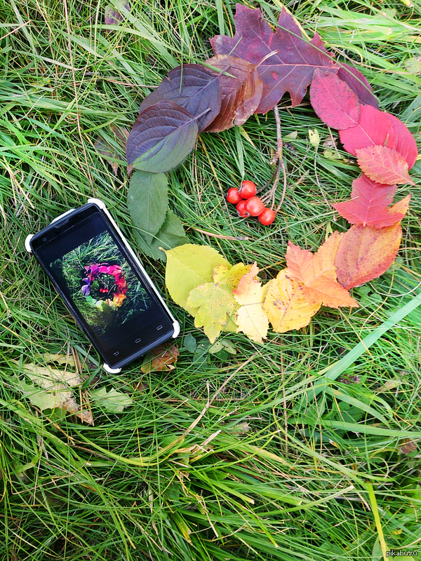 Золотая осень