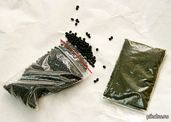 ����������� � ���� �������