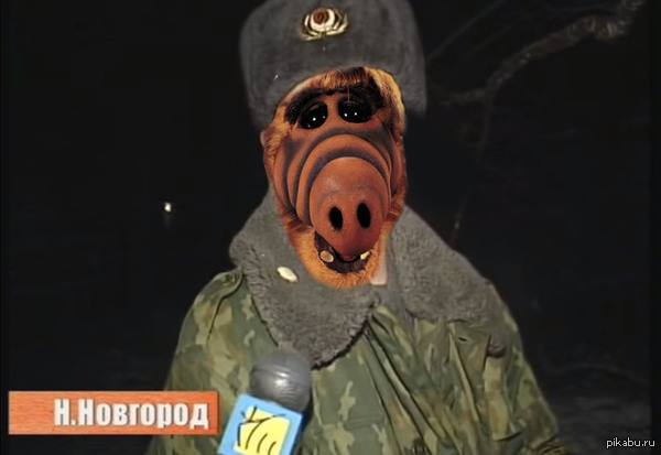 ���� �������� ��������