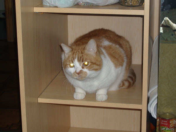 ��� ������� ��� ��� ����� � ����� - ��� �����.