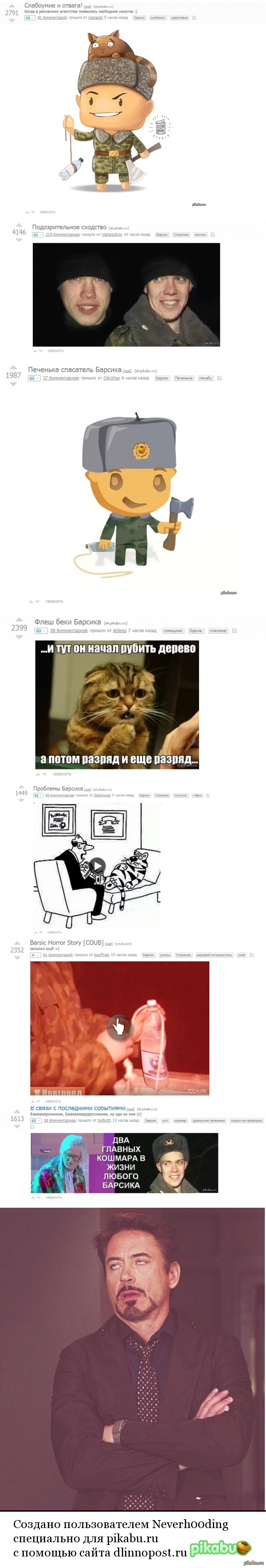 Когда снова пост про Барсика выходит в топ