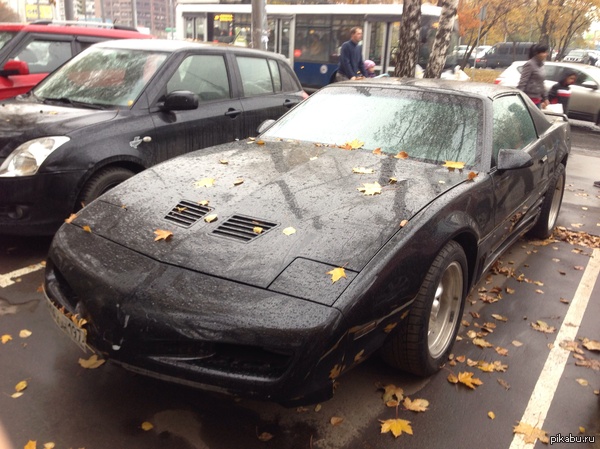 Вот такого красавца увидел на днях