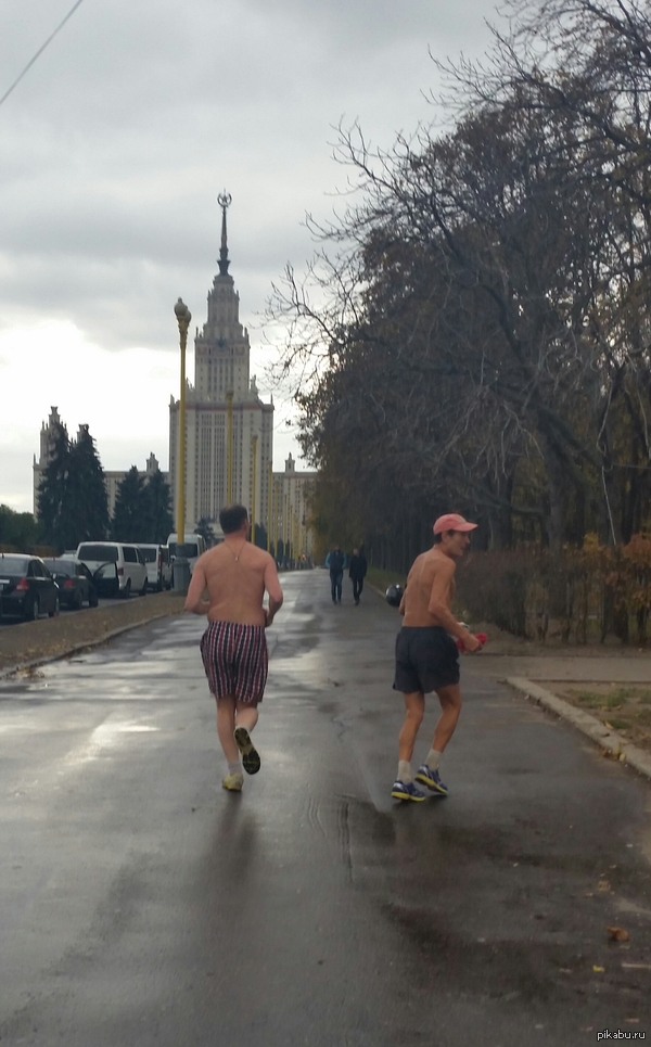 ������ ����������