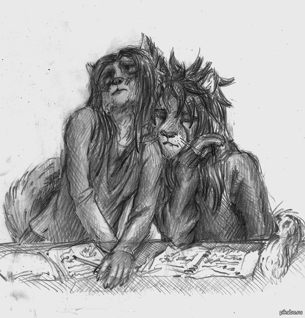 Первая пара