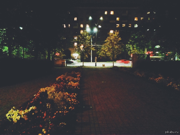 ������ ����