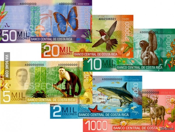 ����� �������� ����� � �����-����