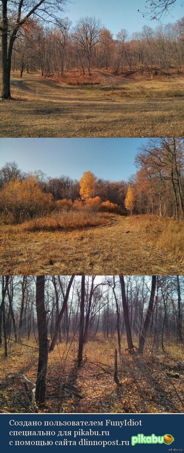 Прогулка по осеннему лесу