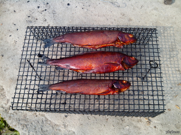 ��� ����� ������� ������� ������ ���.