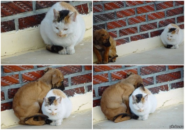 А на улице дубак.