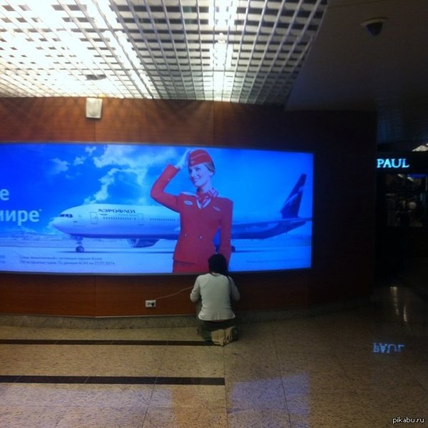 "Пассажиры Шереметьево молятся на Аэрофлот" | Пикабу