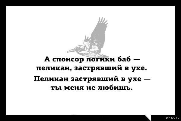 Спонсировать это. Пеликан застрявший в ухе ты меня не любишь. Пеликан юмор. Цитаты Пеликан. Пеликан Мем.
