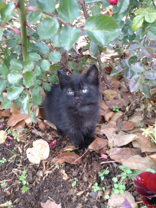 ������� ���� ����)