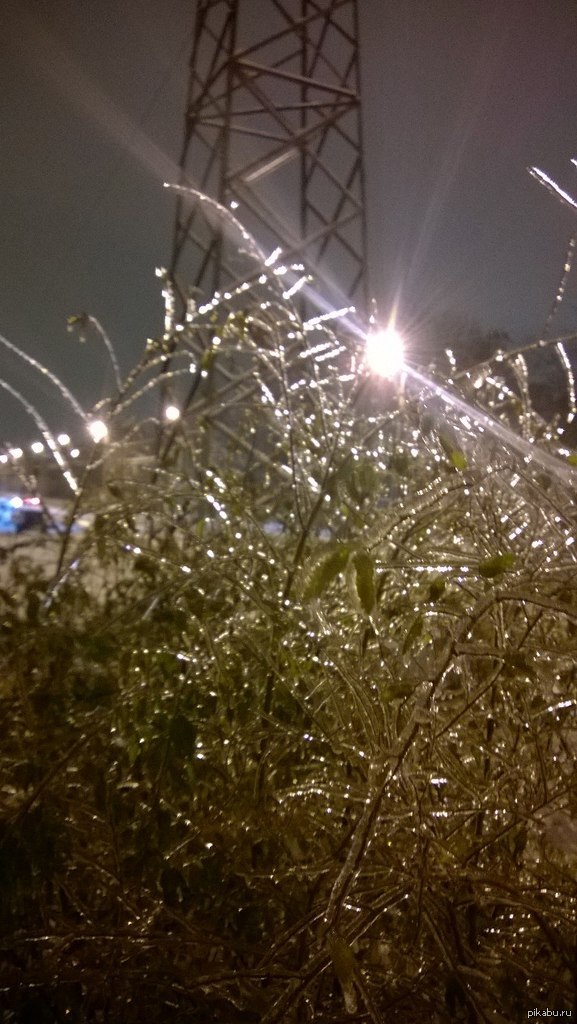 ������ �����������