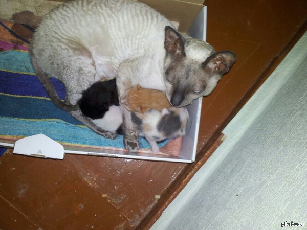 �� ����� ��������� ����, � ����� ����� 5 :)