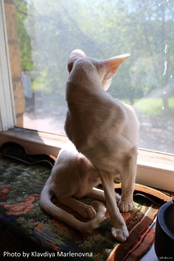 Да, отлично, вот так удобно.