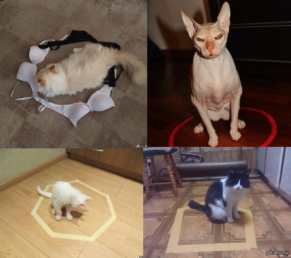 ������� ��� ���� �������� ������������! ������� ��� �� ������, ������ ������ ����: �� ����� ���� ����� ��������� ������� ��� ����)