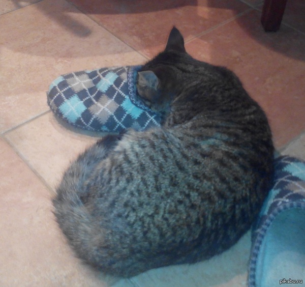 �� ��� ����� ��� �����? ))