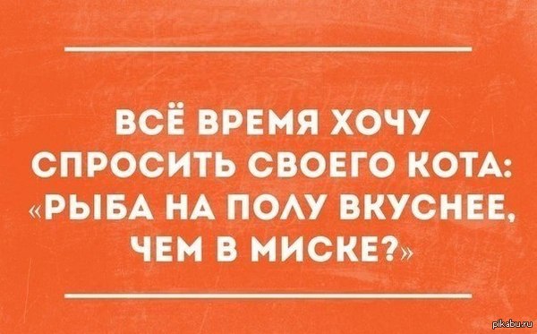 ������� ��!