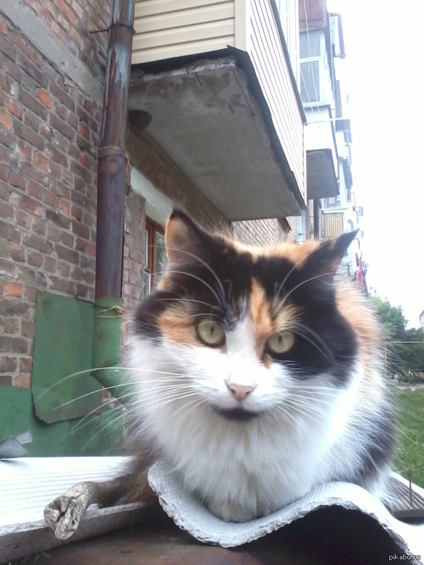 ��� ����� ��������� ���� � ������