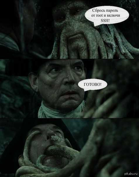 ���� ��������������.