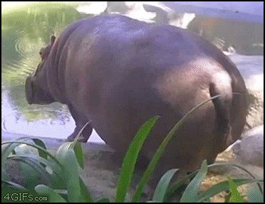   ,     