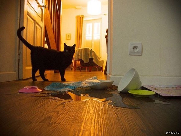 ������ ����, ������...