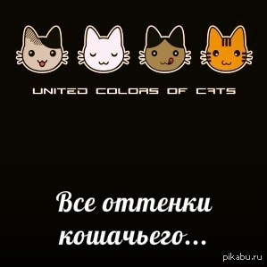 ������� � ������ ����! ��� � �����������!   �������, 24.10.14 ������  ��������-������������ ����� � ����� ������� "������ ����.