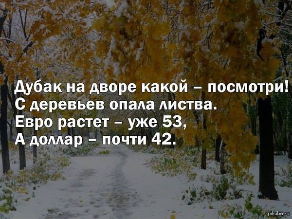 Дубак. Дубак холод. Дубак картинки. Дубак осень. Осень дубак картинки.