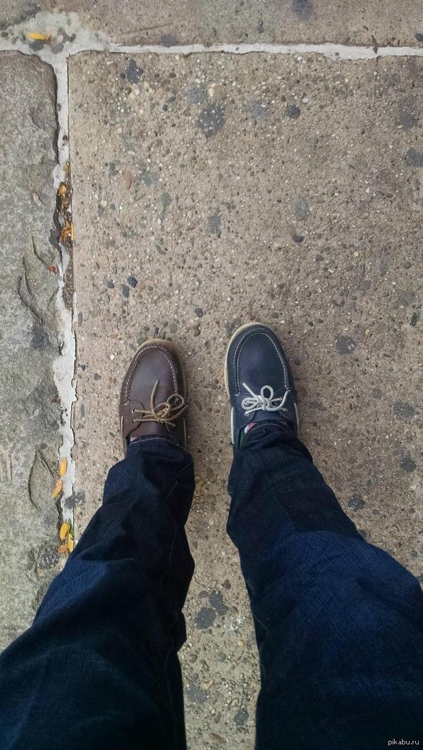 &quot; ظ    ,       .         . &quot;