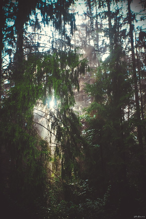 тот же вечер сентября, та же серебряная дымка. забыла упомянуть, что тогда каждые пять минут начинал накрапывать мелкий теплый дождь.