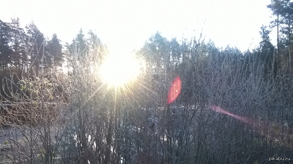 �������� ������.