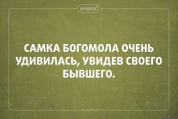 И будучи свою очень. Самка богомола была очень удивлена увидев своего бывшего. Самка богомола очень удивилась. Самку богомола напрягает быт. Самка богомола увидела бывшего.