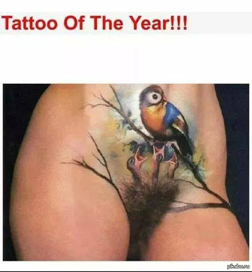 Can anyone tell me what these birds are? - Tattoo, Birds, NSFW, Nest