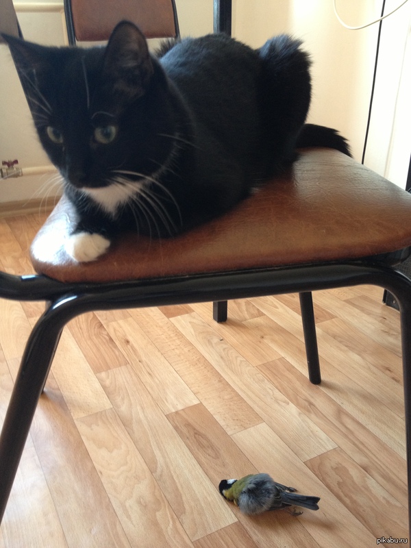     &quot; &quot; http://pikabu.ru/story/_2772430   