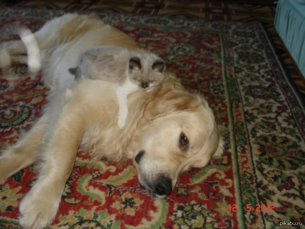 ���������!