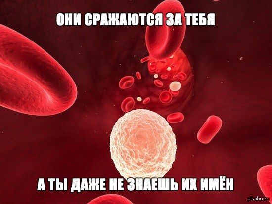 �*���  ����...�� ��������...���  ��  ������