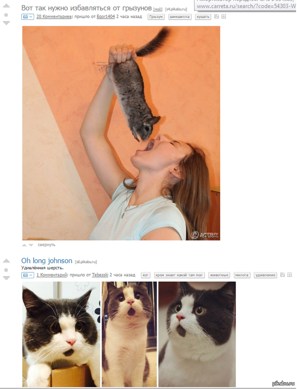 ����������