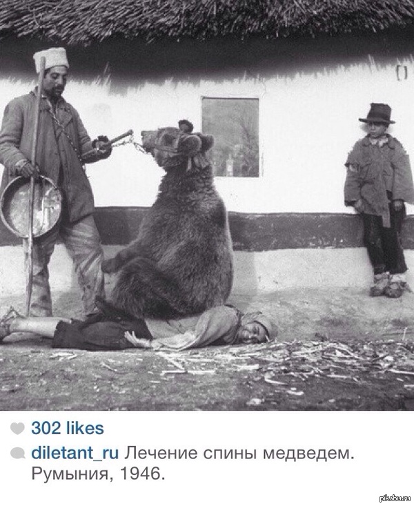 Пойду со своим медведем попробую