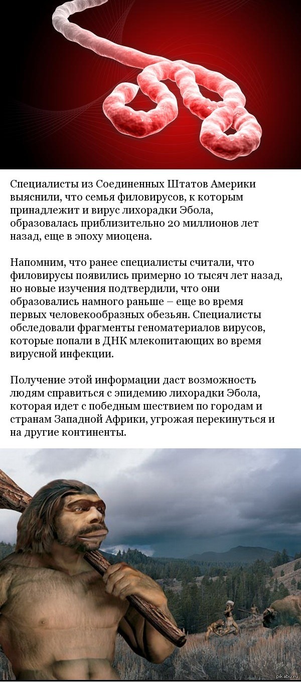 Древнее чем мы думали.