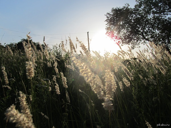 ��������� ������ ���.